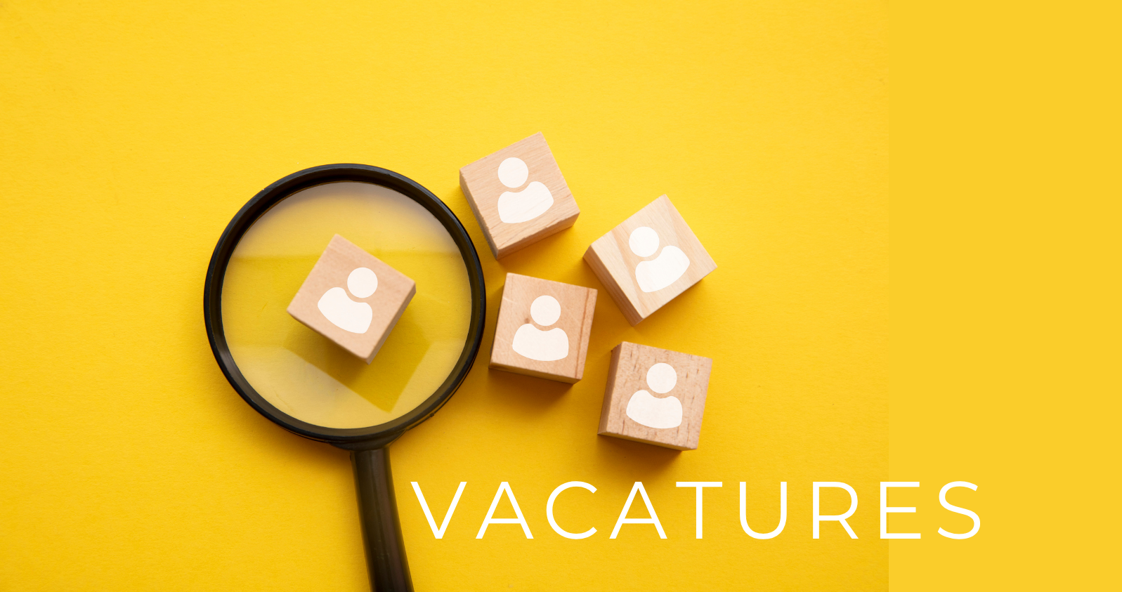 knop vacatures