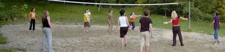 spelen volleybal banner