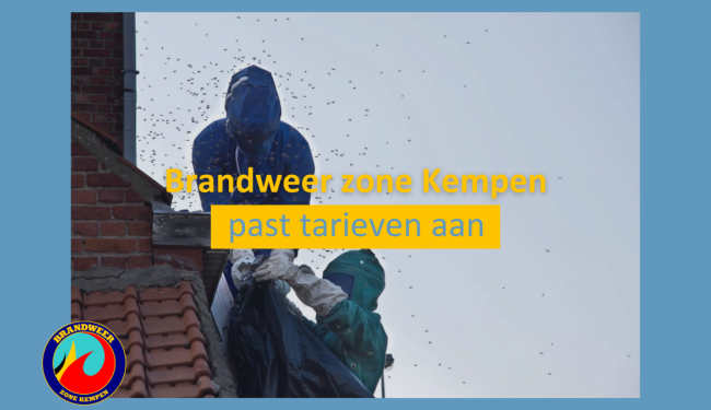 brandweermannen verdelgen wespennest