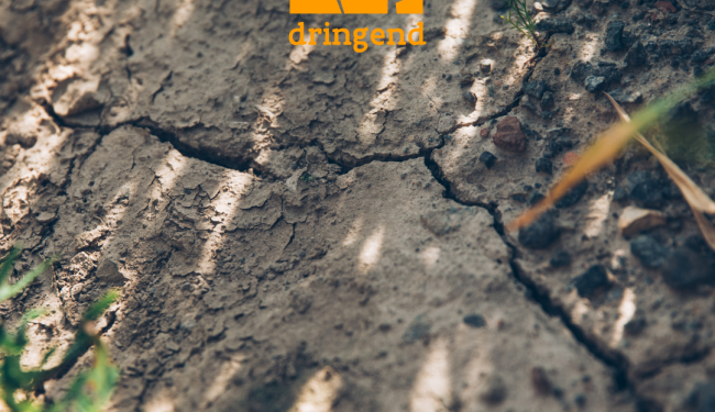 Droogdringend