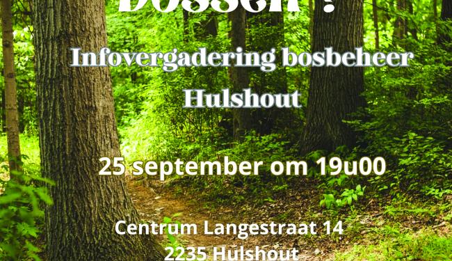 Wat met onze bossen?