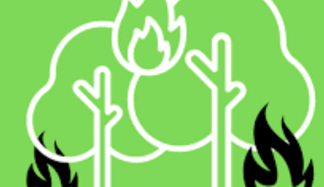 code groen natuurbrand