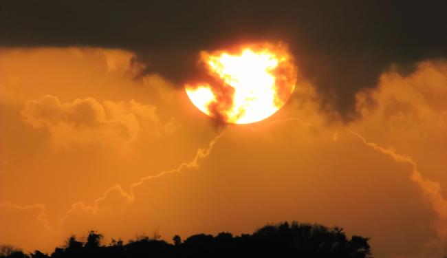 Zon