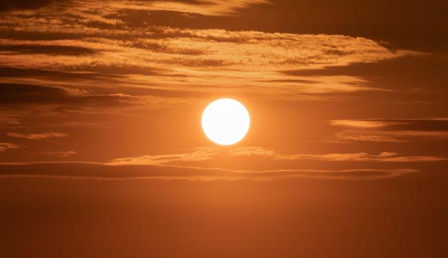 Zon