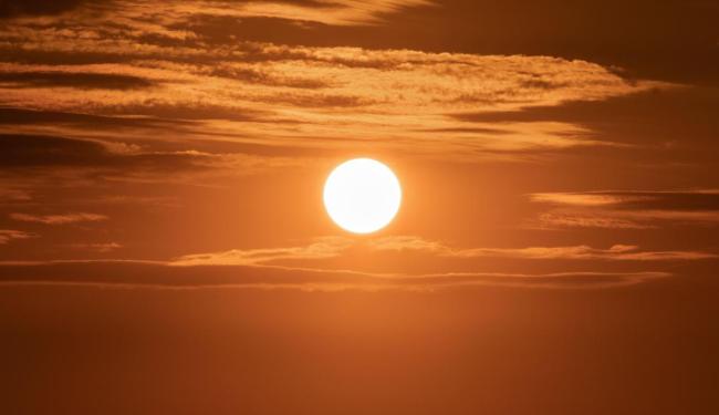 Zon