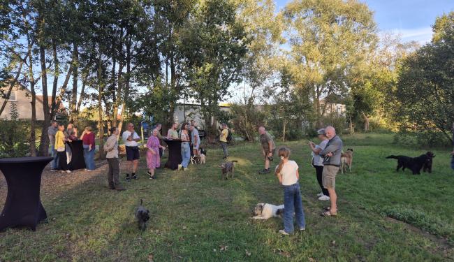 honden in hondenloopweide