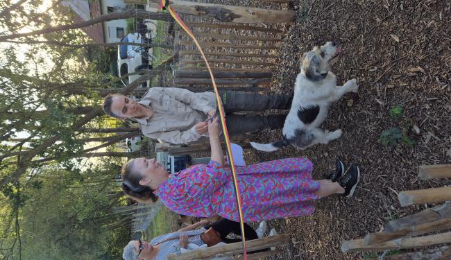 honden in hondenloopweide