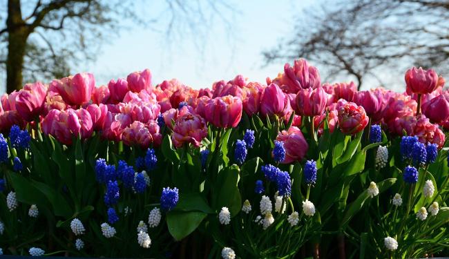 BLOEMSCHIKKEN :HERFST © 49pauly