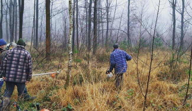 Werkvoormiddag Natuurpunt Goor-Asbroek © Samuel Stevens