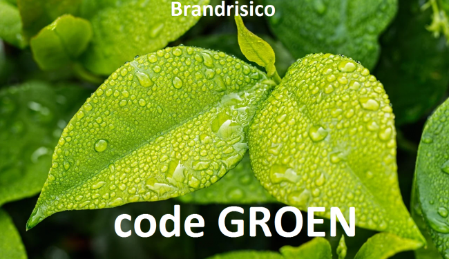 foto groen blad