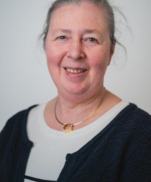 Hilde Van Looy