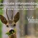 Afbeelding vogelbescherming