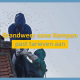 brandweermannen verdelgen wespennest