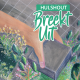 Hulshout breekt uit
