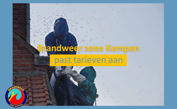 brandweermannen verdelgen wespennest