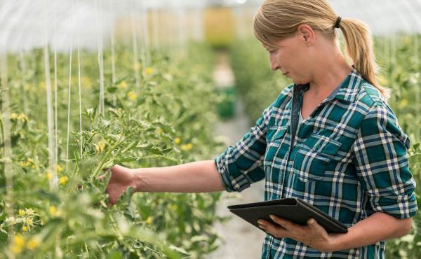 LINE DANSEN © Tashi Delek