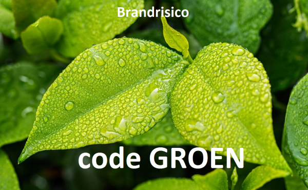 foto groen blad